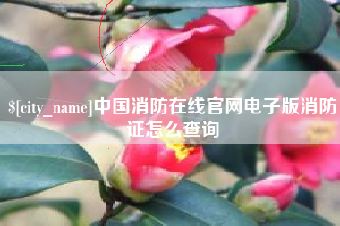海丰中国消防在线官网电子版消防证怎么查询