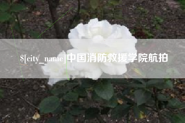 海丰中国消防救援学院航拍