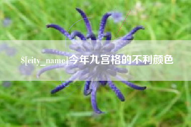海丰今年九宫格的不利颜色