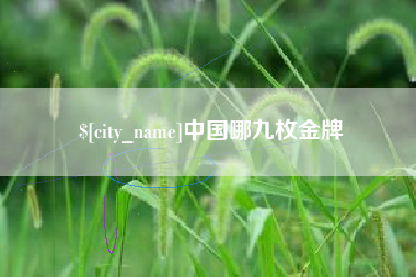 海丰中国哪九枚金牌