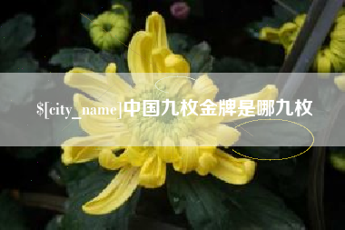 海丰中国九枚金牌是哪九枚