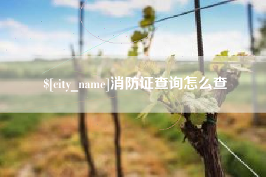 海丰消防证查询怎么查