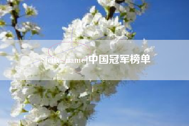 海丰中国冠军榜单