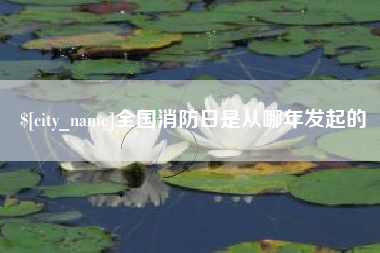 海丰全国消防日是从哪年发起的