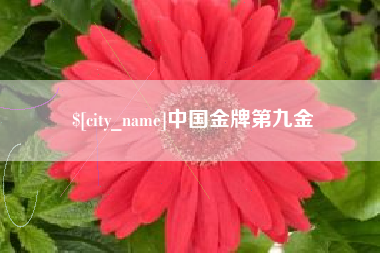 海丰中国金牌第九金