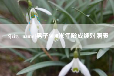 海丰男子5000米年龄成绩对照表