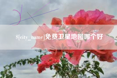 海丰免费卫星地图哪个好