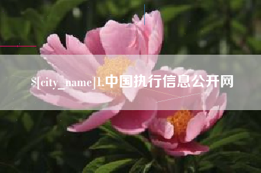 海丰1.中国执行信息公开网