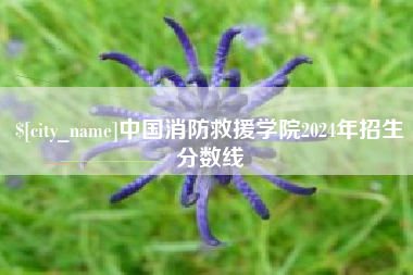 海丰中国消防救援学院2024年招生分数线