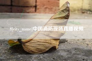 海丰中国消防现场直播视频