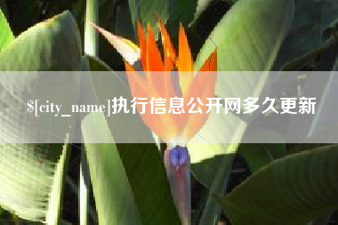 海丰执行信息公开网多久更新