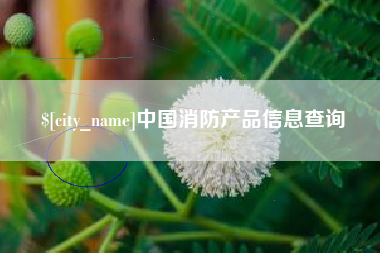 海丰中国消防产品信息查询