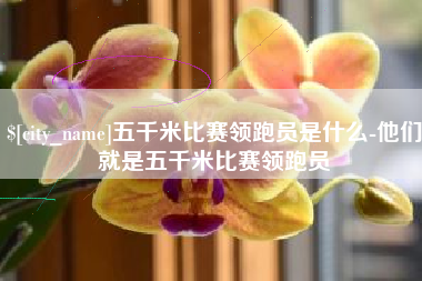 海丰五千米比赛领跑员是什么-他们就是五千米比赛领跑员