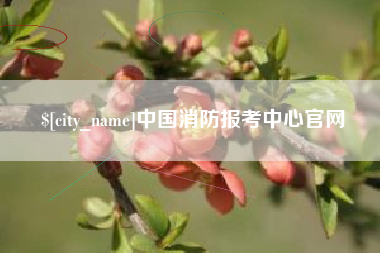 海丰中国消防报考中心官网
