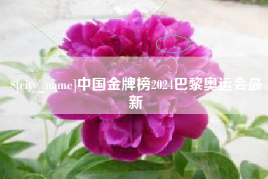 海丰中国金牌榜2024巴黎奥运会最新
