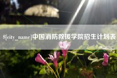 海丰中国消防救援学院招生计划表