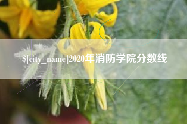 海丰2020年消防学院分数线