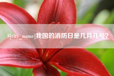 海丰我国的消防日是几月几号？