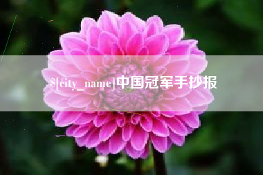 海丰中国冠军手抄报