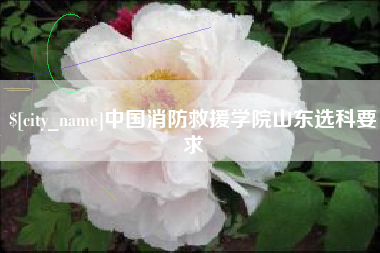 海丰中国消防救援学院山东选科要求