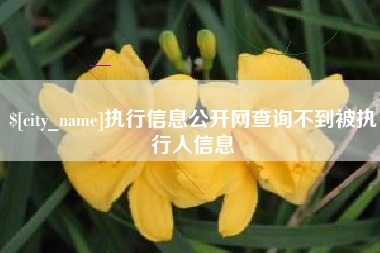 海丰执行信息公开网查询不到被执行人信息