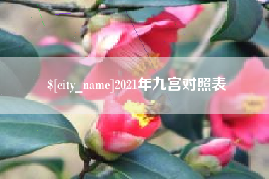 海丰2021年九宫对照表