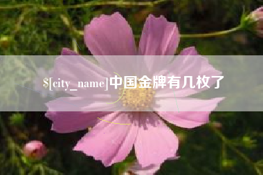 海丰中国金牌有几枚了