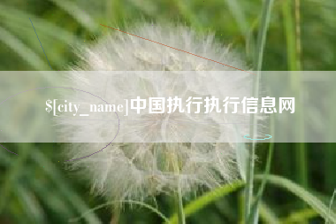 海丰中国执行执行信息网
