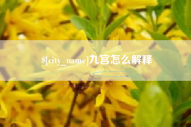 海丰九宫怎么解释