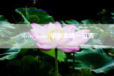 海丰中国金牌一览表
