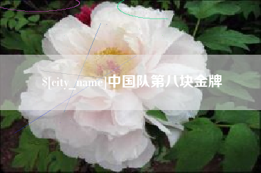 海丰中国队第八块金牌