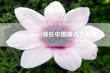 海丰现在中国哪几个金牌