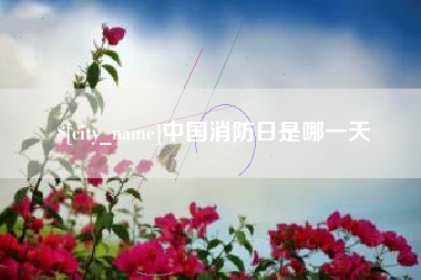 海丰中国消防日是哪一天