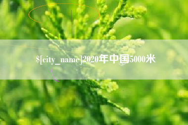 海丰2020年中国5000米