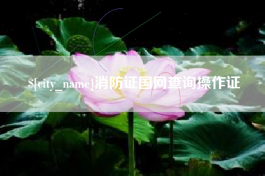 海丰消防证国网查询操作证