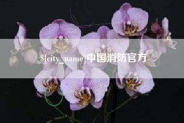 海丰中国消防官方
