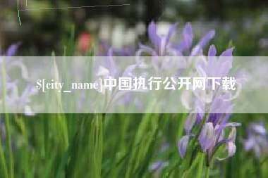海丰中国执行公开网下载