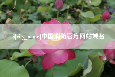 海丰中国消防官方网站域名