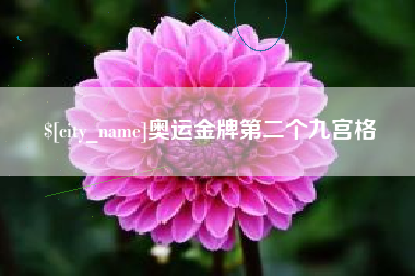 海丰奥运金牌第二个九宫格