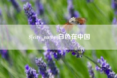海丰白色在中国
