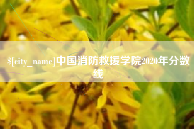 海丰中国消防救援学院2020年分数线
