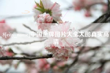 海丰中国金牌图片大全大图真实高清