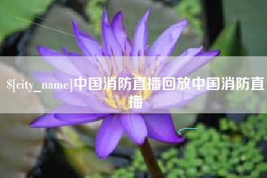 海丰中国消防直播回放中国消防直播