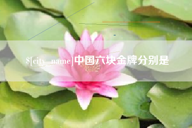 海丰中国六块金牌分别是