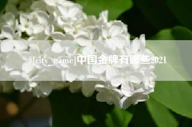 海丰中国金牌有哪些2021