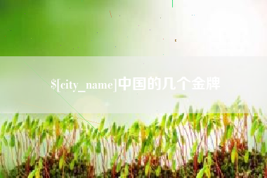 海丰中国的几个金牌