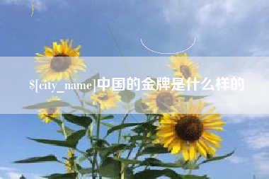 海丰中国的金牌是什么样的