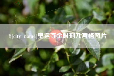海丰奥运夺金时刻九宫格图片