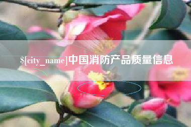 海丰中国消防产品质量信息