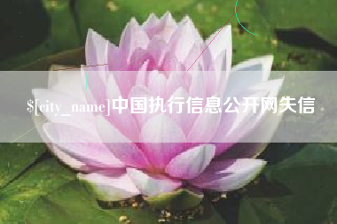 海丰中国执行信息公开网失信